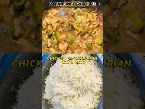 CHICKEN MANCHURIAN WITH RICE