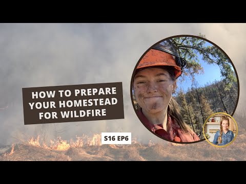 S16: E6: How to Prepare Your Homestead for Wildfire