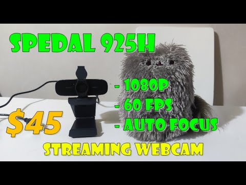 Spedal 925H Streaming Webcam Review! 1080P, 60FPS, Autofocus!