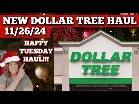 NEW DOLLAR TREE HAUL 11/26/24