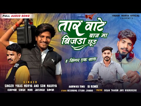 तार वाटे बाज मा बिजड़ा छुड़ वो!!Suprhit 💥Timli Singer Vikas And Sohan And Kuwarsing And jaysingh ✨🔥