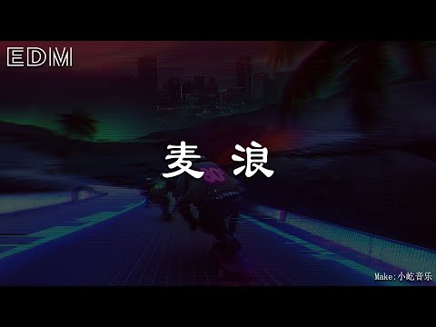 麦浪🎧抖音热门歌曲 🎧 EDM 中文歌曲 华语 Music