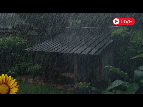 🔴MARAVILHA de BARULHO da CHUVA com GOTEJAMENTO em  COBERTURA de METAL e TROVOADAS 💤