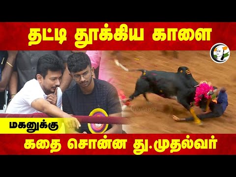 தட்டி தூக்கிய காளை மகனுக்கு கதை சொன்ன  Deputy CM | Alanga Nallur Jallikattu | Udhayanidhi | DMK