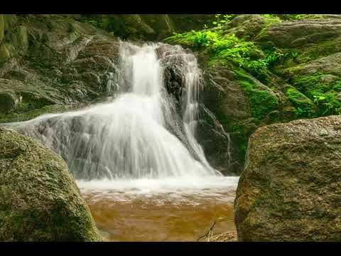 Relax and Rejuvenate with Nature's Symphony: Ambient Piano Sounds