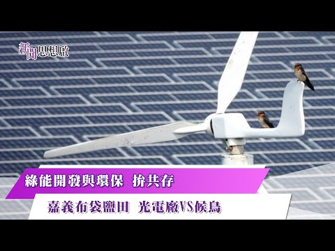 《新聞思想啟》綠能開發與環保 拚共存 嘉義布袋鹽田 光電廠VS候鳥 第132集-Part5