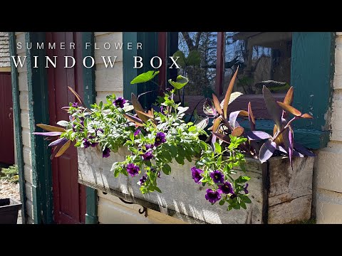 Easy Summer Window Boxes - Container Flower Ideas - Gardening - Flower Pots - Planters