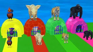 Paint Animals Duck, Tiger, Cow, Lion, Zebra, Gorilla, Dinosaur Fountain Crossing - Animals 3D Game