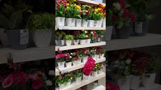 flower gallery || vishal Mega Mart || Ayodhya || #rjvlogs