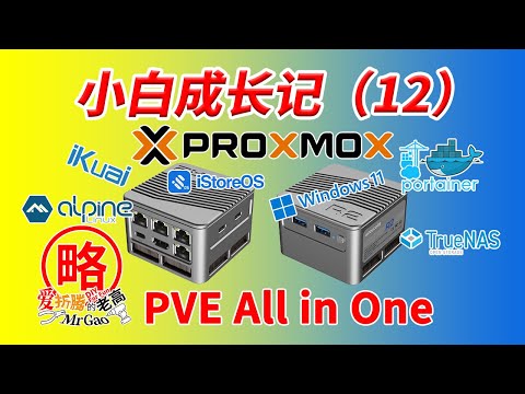 【小白成长记12】PVE All in one AIO iKuai/iStoreOS LXC Alpine Docker  Windows11核显直通显示输出 TrueNAS Jellyfin硬解转码