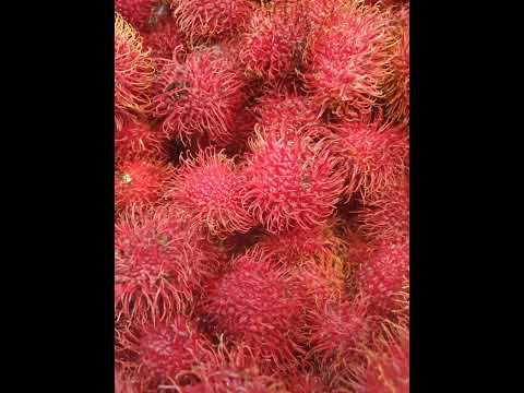 Rambutan Maharlika #fbreels #earnmoneyusinggcash #fruit #fbreelsfypシ゚viralfbreelsfypシ゚viral #food