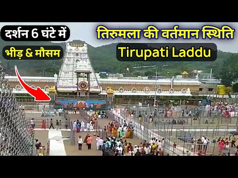 Tirumala Present Situation | Rush | Weather | Tirupati Balaji Laddu Prasad | Tirupati Balaji Darshan