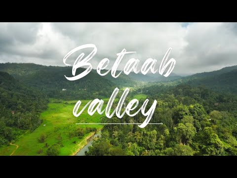 "Betaab Valley Bliss: Epic Trip with Colleagues | Kashmir's Natural Beauty!"