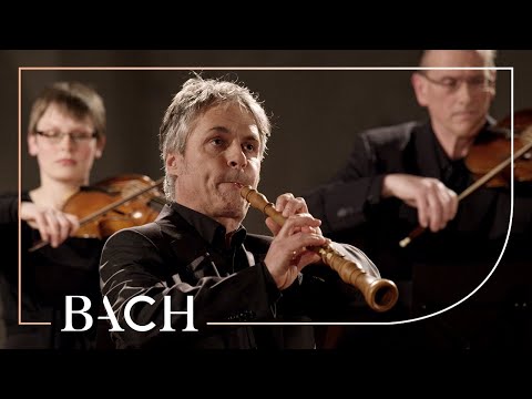 Bach - Sinfonia from Cantata BWV 156 - Mortensen | Netherlands Bach Society