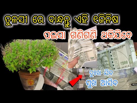 ତୁଳସୀ ରେ ବାନ୍ଧି ଦିଅନ୍ତୁ ଏହି ଗୋଟିଏ ଜିନିଷ ପଇସା ଗଣି ଗଣି ଥକିଯିବେ 🌺/ tulsi puja