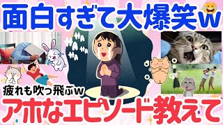 【有益】まとめ★ガルちゃんで声出して笑った投稿教えて!!1番アホなエピソード持ってる人が優勝【はなまるがるちゃんねる】