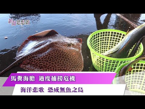 《新聞思想啟》漁獲數量大銳減！學者預測2050年無魚可捕 台灣會變無魚之島？全台海洋保護區僅有8% 漁民反彈擔心影響生計 第147集-Part1