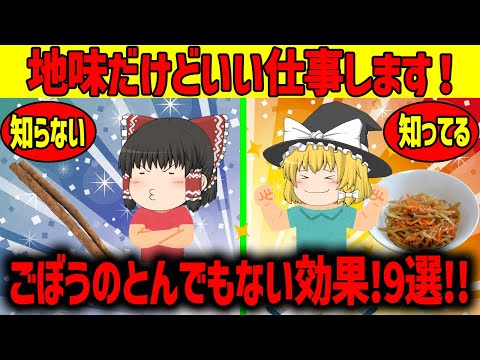 【ゆっくり解説】ごぼうのとんでもない効果!!