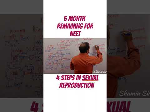 Steps of Sexual Reproduction#shortsfeed#shortfeeds#short#shorts#education