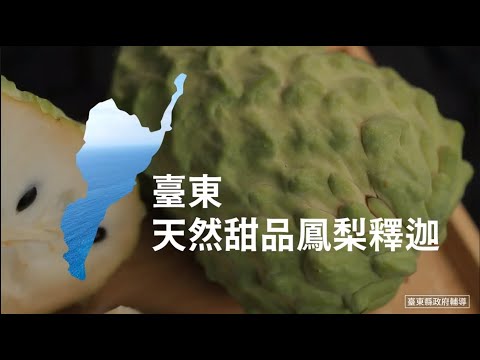 全家都適合 全迦都釋合｜臺東鳳梨釋迦