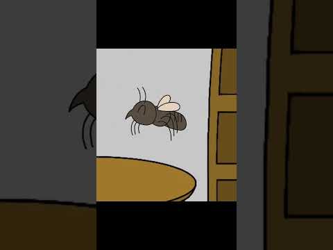 Mosquito #animation #flipaclip #shorts