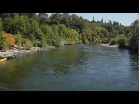 Hexacopter in Tree Crash at Hog Creek