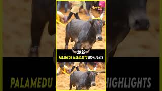 பாலமேடு ஜல்லிக்கட்டு 2025 Highlights |Suryan FM #jallikattu2025