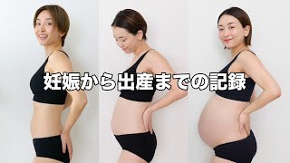 妊娠から出産までのお腹の成長記録 | 受精6日目〜妊娠39週目【Pregnancy Transformation・帝王切開・顕微授精・妊婦日記】