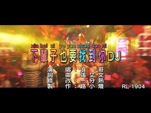 浪哥 | 下輩子也要找到你 | (DJ修改版) | (1080P)KTV