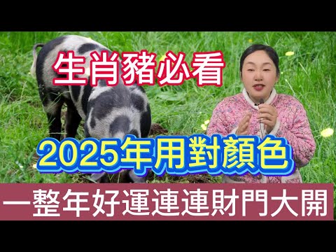 生肖豬 2025 年：選對顏色，擁抱好運，開啟大吉大利新旅程！對於生肖豬來說，2025 年一定要選對那個能帶來好運的顏色，從而擁抱一整年的好運，踏上大吉大利的新征程！#風水 #佛教  #科普 #運勢