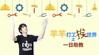 【羊羊打工挨世界】之一日助教｜馮皓揚