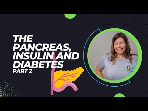 The Pancreas, Insulin, and Diabetes: Part 2 | Blood Sugar Regulation