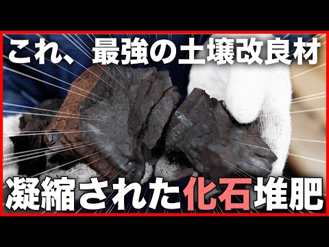 土づくりに必須の腐植物質の固まりを分解した肥料【プレゼント企画有り】