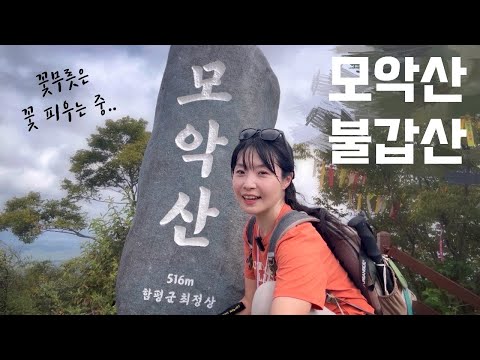 함평 모악산 꽃무릇🌷 등산 브이로그 | 산행 | 등린이 | 힐링 | 용천사 | 불갑산 | 등산추천 | 가을산행 | 전남여행 | 하이킹 | 트레킹 | 축제 | 여행 | hiking