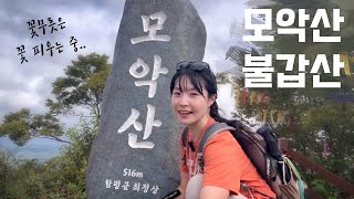 함평 모악산 꽃무릇🌷 등산 브이로그 | 산행 | 등린이 | 힐링 | 용천사 | 불갑산 | 등산추천 | 가을산행 | 전남여행 | 하이킹 | 트레킹 | 축제 | 여행 | hiking