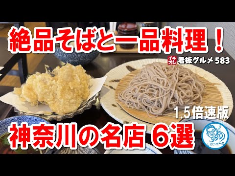 【1.5倍速】神奈川の絶品そば屋6選！美味しさも一品料理も感動の名店巡り【横浜・海老名】 イチオシ看板グルメ583 #飲食店応援 1469