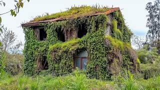 Three Men Clean 70-Year-Old Buried House and Give It a Second Life for Free | by @Cleantheoldhouse