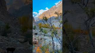 Mountain life in Shigar k2 region. #mountainlifestyle #nature #travel #gilgitbaltistan #mountainview