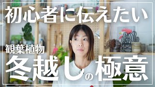 【初心者必見】冬の観葉植物“休眠期”について解説