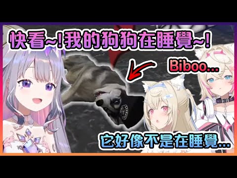 Biboo非常興奮的給雙子看她的新狗狗,結果一放出來就...【Hololive中文】【Koseki Bijou/FUWAMOCO】