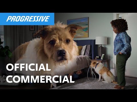 Who's a Good Owner? | Dog | Progressive Insurance Commercial