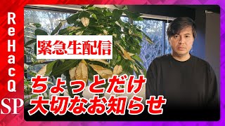 【緊急生配信】ちょっとだけ大切なお知らせ…兵庫県知事選に関して【神戸新聞さん…ランチしましょう】