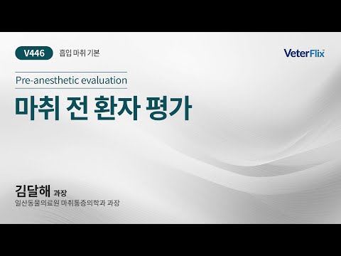 [베터플릭스][흡입 마취 기본] 마취 전 환자 평가(Pre-anesthetic evaluation)