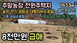 (매물번호14308) 8천만원 보은부동산 1653㎡(500) 보은땅 보은토지매매매물 청주부동산 청주토지 시골땅 촌땅 싼땅 급매 농막 주말농장 전원주택지 집터 대전부동산 대전땅