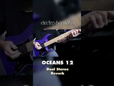 EHX Oceans 12 Dual Stereo Reverb Pedal Demo