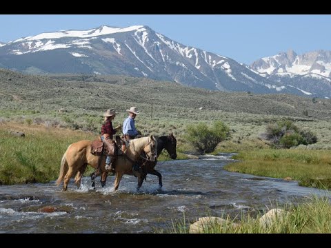 Weekend TV worth watching!  A California cowboy episode of Today's Wild West!