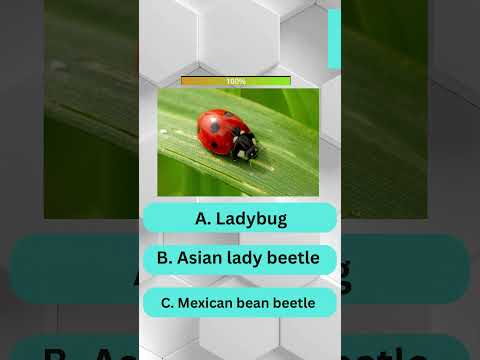 Epic Insect Quiz Challenge! Part 1 #viral #quiz #trending #shorts