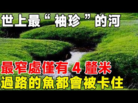 世上最“袖珍”的河，最窄處僅有4釐米，過路的魚都會被卡住