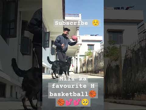 Mili ne khela Aaj basketball 🏀🎮💕🥺 #arijitsingh #bollywood #music #subscribe #dog #mili #viral #love