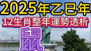 【古柏論命 - 張古柏】2025年乙巳年12生肖整年運勢透析  -  鼠